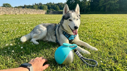 Botella Esfera para Perros — Hidratación con Estilo en cada Paseo
